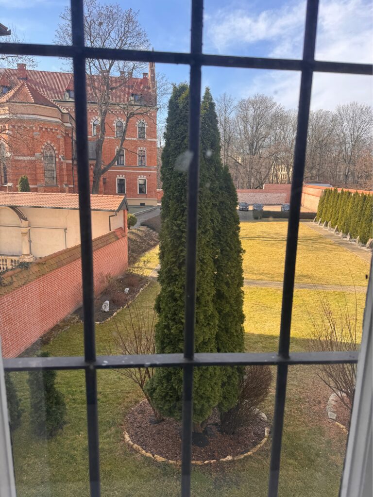 Kanonicza 15 – view from a window onto the garden